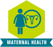 program focus area - maternal health
