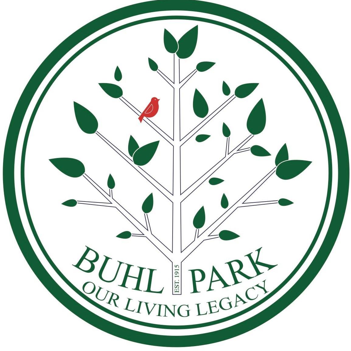 Buhl Park Logo Health Hut Buhl Regional Health Foundation
